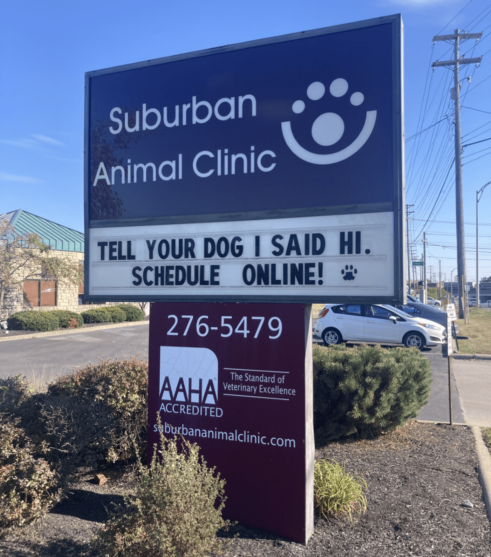 Best Veterinary Hospital In Columbus, Ohio 43204 Suburban Animal Clinic