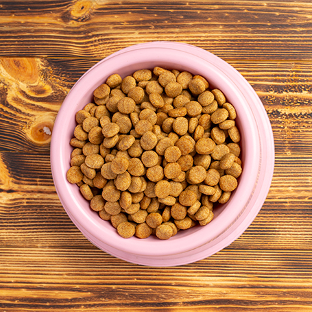 dry-dog-food-in-a-bowl
