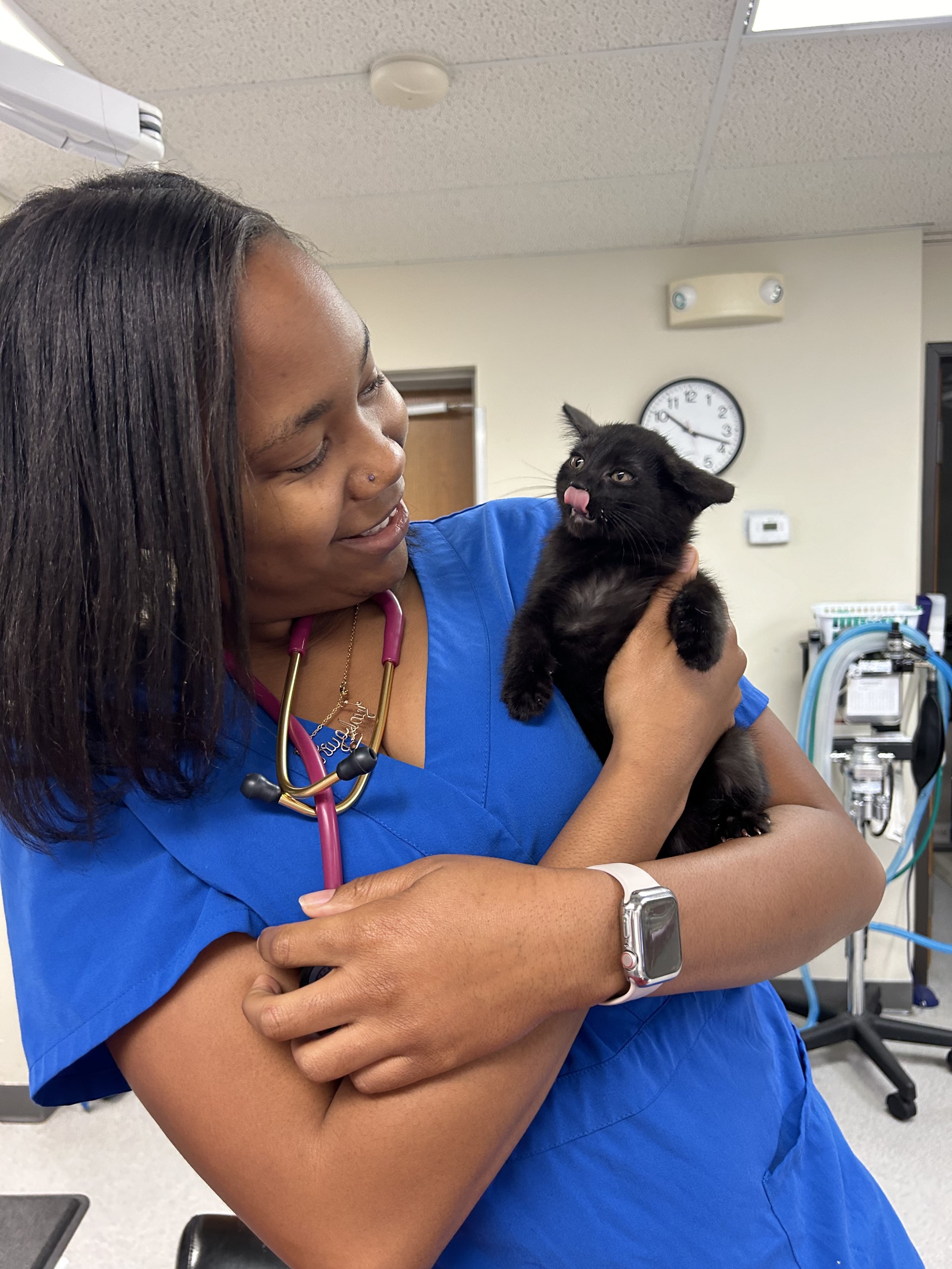 a vet holding a black cat