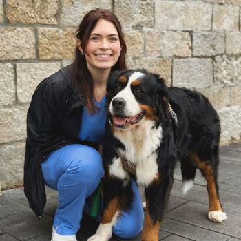 vet staff with dog outdoors