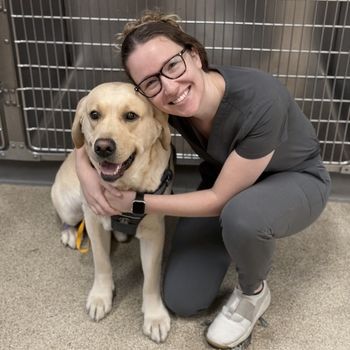 vet staff hugging a dog