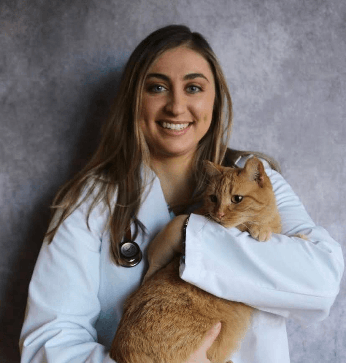 Dr. Peri Wiley Peri Wiley