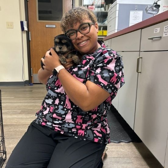 a vet staff cradles a small black-and-tan puppy